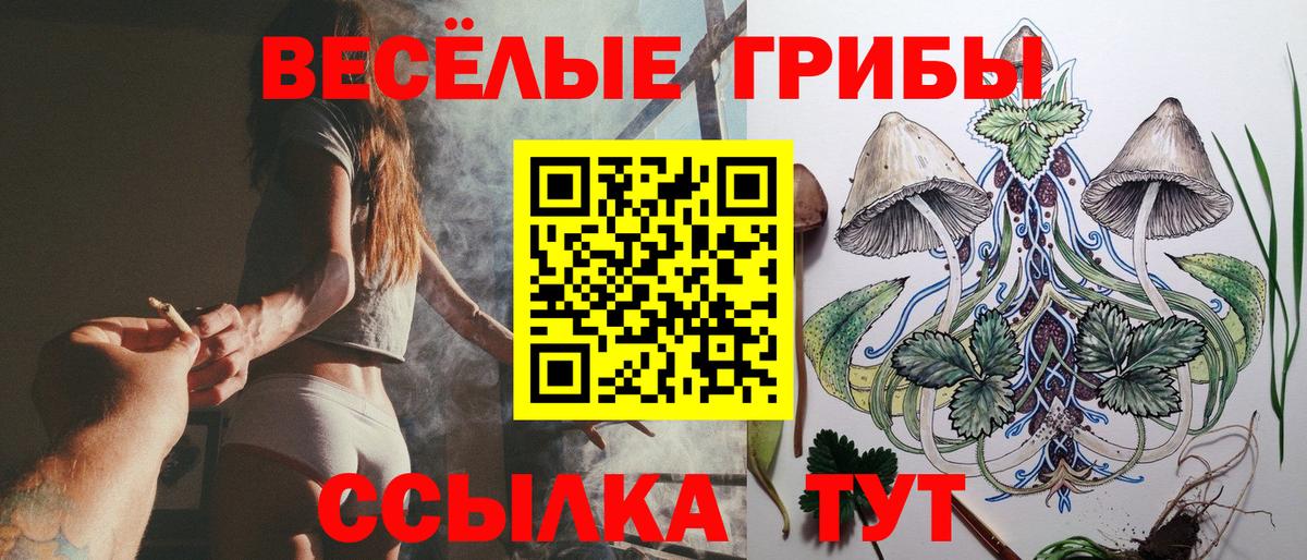 Псилоцибиновые грибы Cubensis Великий Устюг