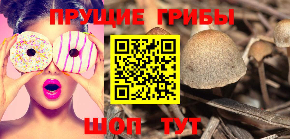 купить наркотик  Псилоцибиновые грибы мухоморы  Вход с VPN  Галлюциногенные грибы Cubensis  Великий Устюг 